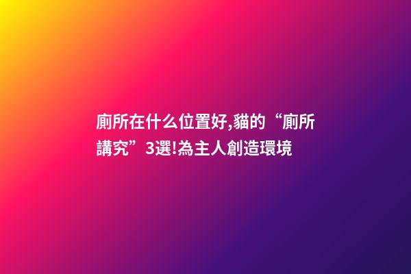 廁所在什么位置好,貓的“廁所講究”3選!為主人創造環境-第1張-觀點-玄機派