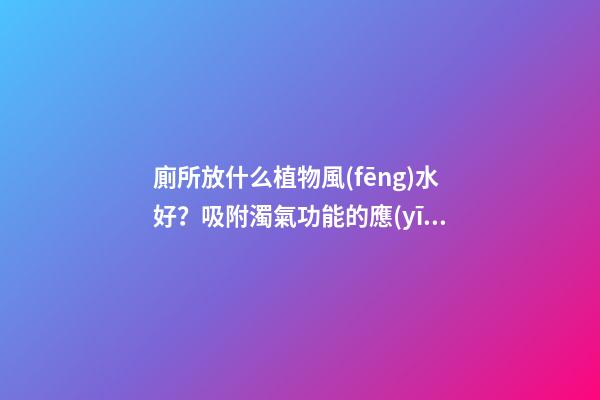 廁所放什么植物風(fēng)水好？吸附濁氣功能的應(yīng)當(dāng)首選