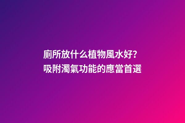 廁所放什么植物風水好？吸附濁氣功能的應當首選