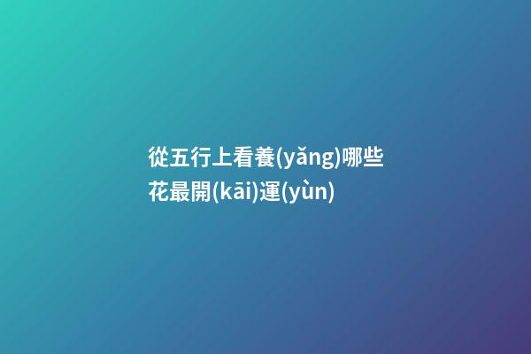 從五行上看養(yǎng)哪些花最開(kāi)運(yùn)