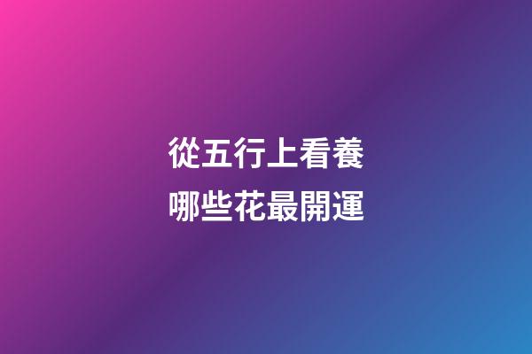 從五行上看養哪些花最開運
