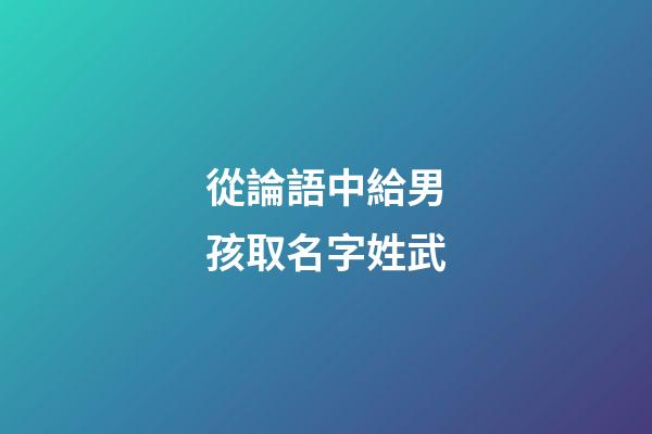 從論語中給男孩取名字姓武(論語里男孩名字)-第1張-男孩起名-玄機派