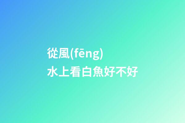 從風(fēng)水上看白魚好不好