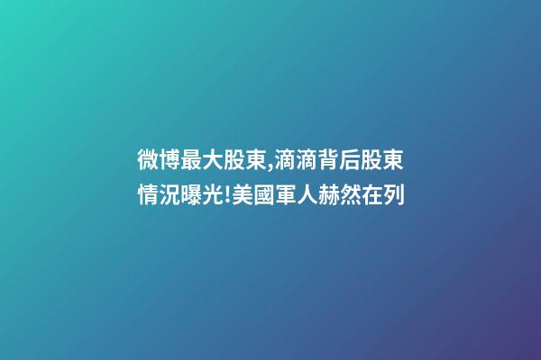 微博最大股東,滴滴背后股東情況曝光!美國軍人赫然在列-第1張-觀點-玄機派