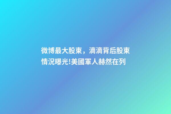 微博最大股東，滴滴背后股東情況曝光!美國軍人赫然在列-第1張-觀點-玄機派
