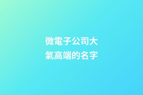 微電子公司大氣高端的名字