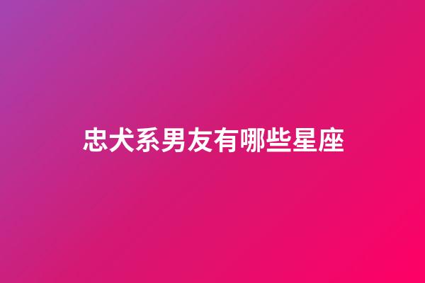 忠犬系男友有哪些星座-第1張-星座運勢-玄機派