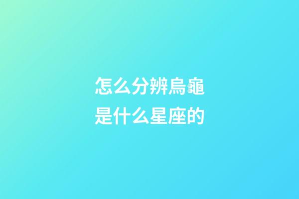 怎么分辨烏龜是什么星座的