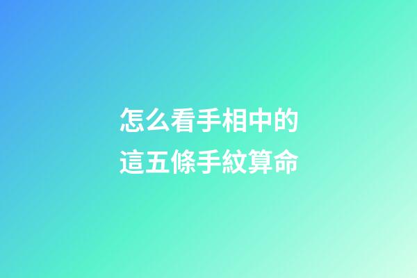 怎么看手相中的這五條手紋算命