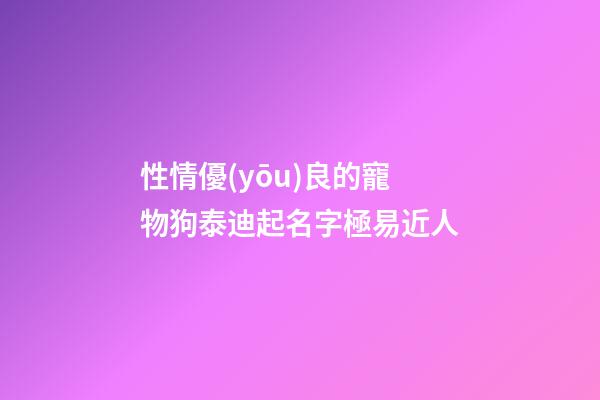 性情優(yōu)良的寵物狗泰迪起名字極易近人