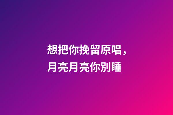 想把你挽留原唱，月亮月亮你別睡-第1張-觀點(diǎn)-玄機(jī)派