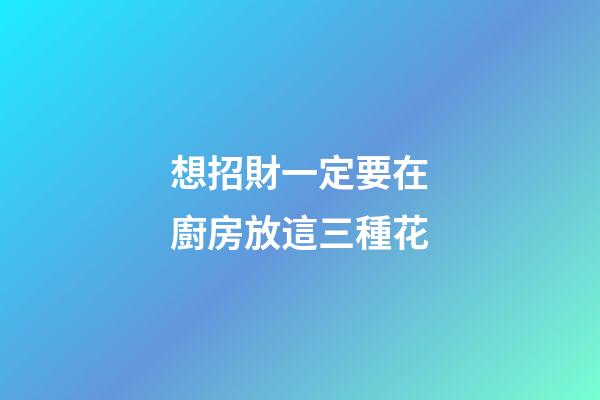 想招財一定要在廚房放這三種花