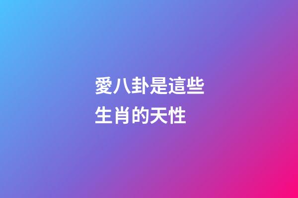 愛八卦是這些生肖的天性
