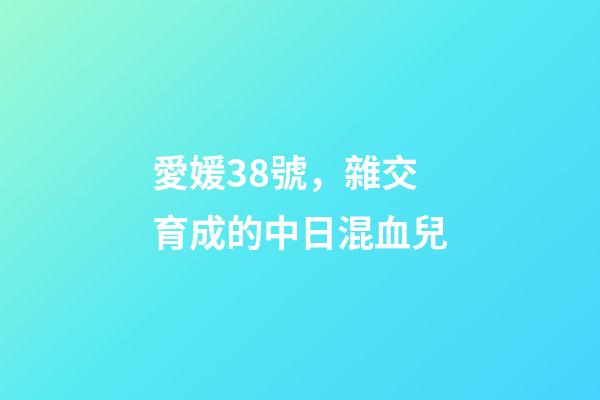 愛媛38號，雜交育成的中日混血兒-第1張-觀點-玄機派