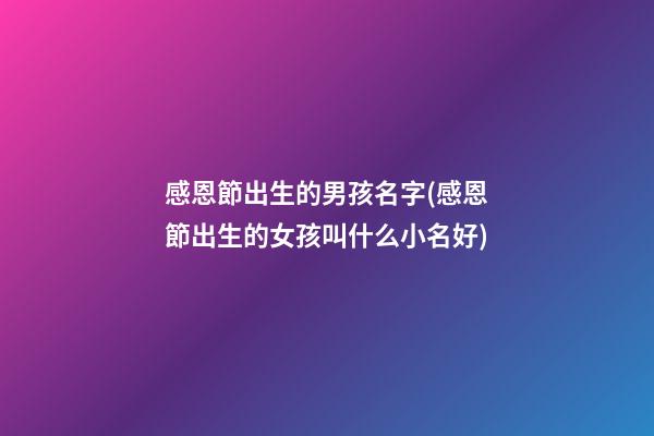 感恩節出生的男孩名字(感恩節出生的女孩叫什么小名好)