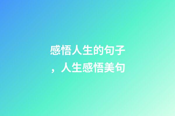 感悟人生的句子，人生感悟美句