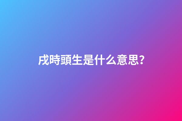 戌時頭生是什么意思？