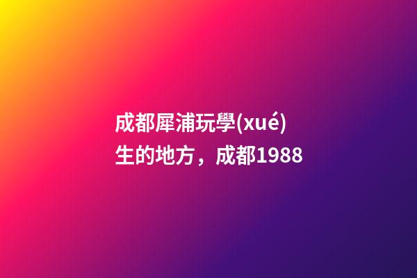 成都犀浦玩學(xué)生的地方，成都1988-第1張-觀點-玄機派