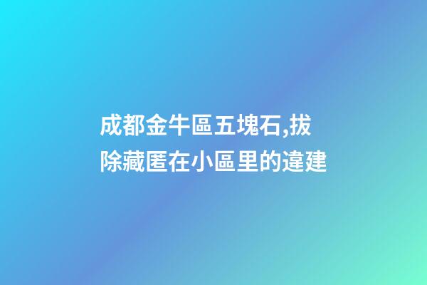 成都金牛區五塊石,拔除藏匿在小區里的違建-第1張-觀點-玄機派