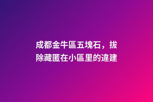 成都金牛區五塊石，拔除藏匿在小區里的違建-第1張-觀點-玄機派