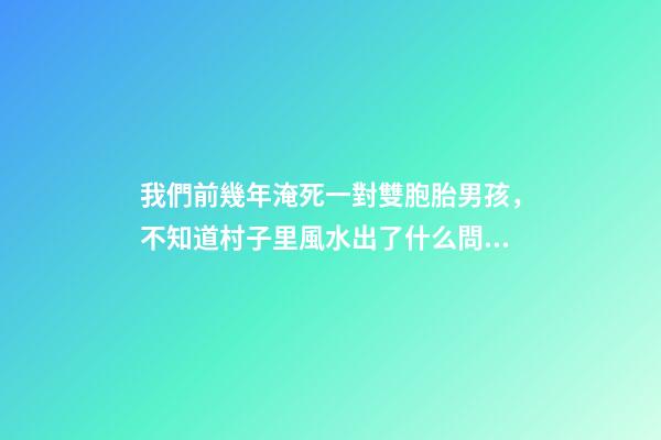 我們前幾年淹死一對雙胞胎男孩，不知道村子里風水出了什么問題導