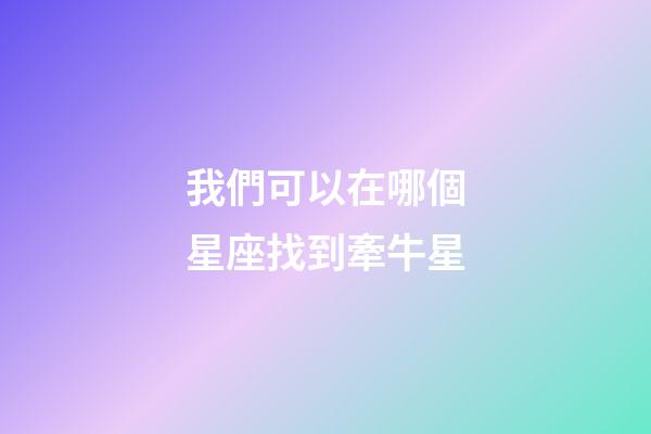 我們可以在哪個星座找到牽牛星