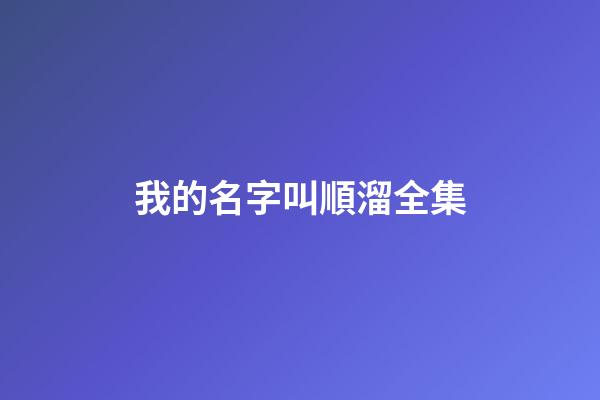 我的名字叫順溜全集