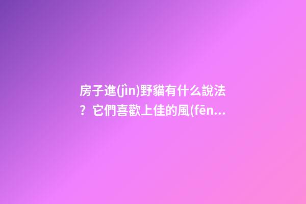房子進(jìn)野貓有什么說法？它們喜歡上佳的風(fēng)水住宅