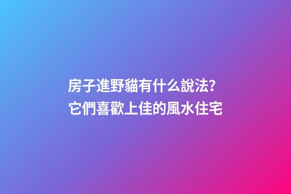 房子進野貓有什么說法？它們喜歡上佳的風水住宅