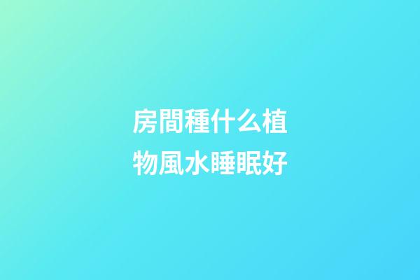 房間種什么植物風水睡眠好