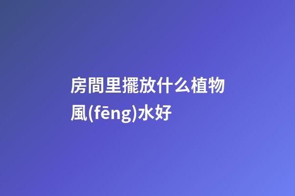 房間里擺放什么植物風(fēng)水好