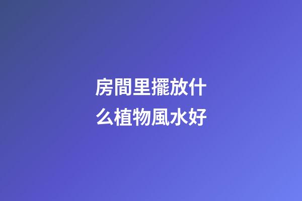 房間里擺放什么植物風水好