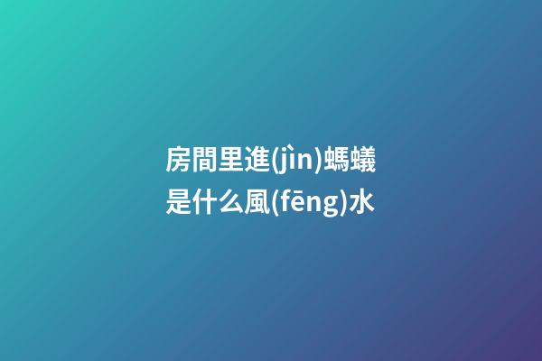 房間里進(jìn)螞蟻是什么風(fēng)水