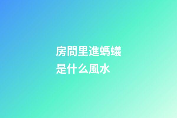 房間里進螞蟻是什么風水