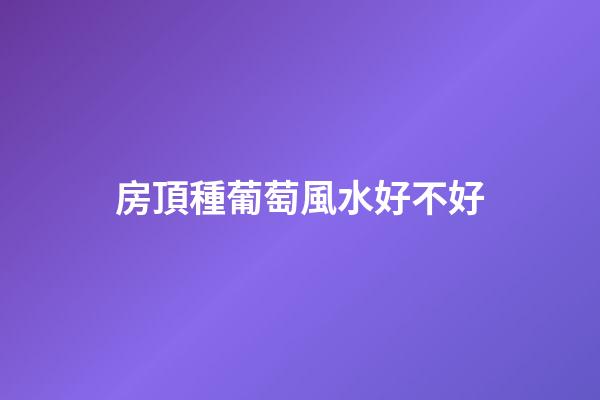 房頂種葡萄風水好不好