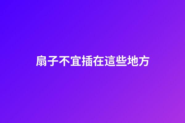 扇子不宜插在這些地方