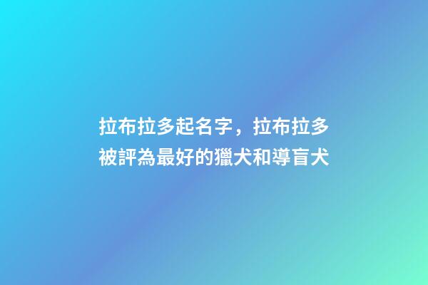 拉布拉多起名字，拉布拉多被評為最好的獵犬和導盲犬-第1張-觀點-玄機派