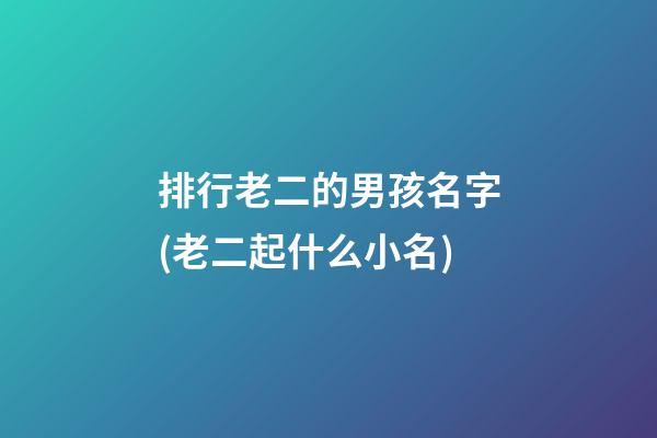 排行老二的男孩名字(老二起什么小名)