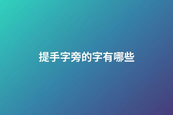 提手字旁的字有哪些