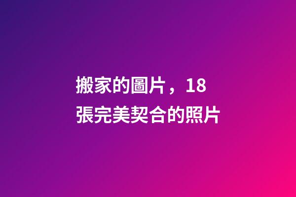 搬家的圖片，18張完美契合的照片-第1張-觀點-玄機派