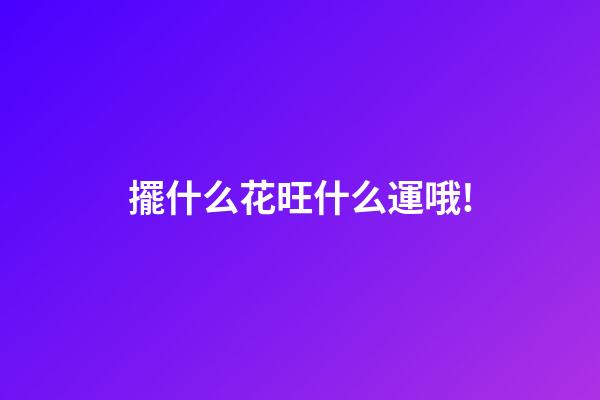 擺什么花旺什么運哦!