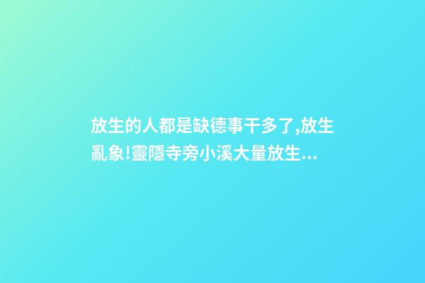 放生的人都是缺德事干多了,放生亂象!靈隱寺旁小溪大量放生烏龜死亡-第1張-觀點-玄機派