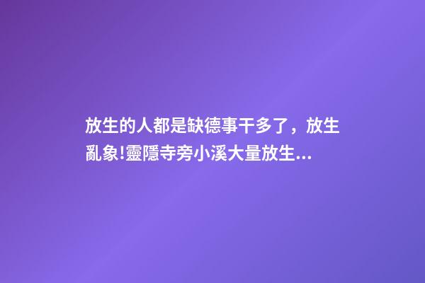 放生的人都是缺德事干多了，放生亂象!靈隱寺旁小溪大量放生烏龜死亡-第1張-觀點-玄機派