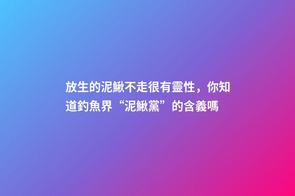 放生的泥鰍不走很有靈性，你知道釣魚界“泥鰍黨”的含義嗎-第1張-觀點-玄機派
