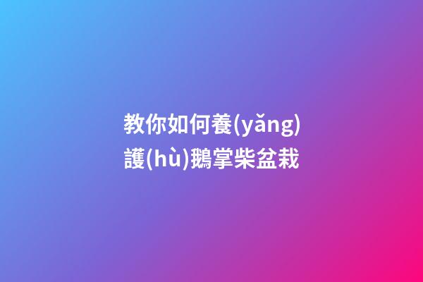 教你如何養(yǎng)護(hù)鵝掌柴盆栽