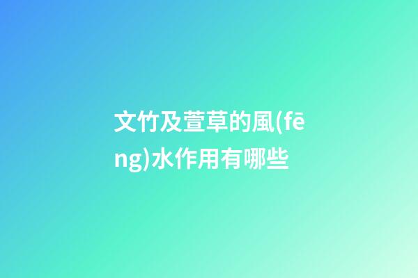 文竹及萱草的風(fēng)水作用有哪些?