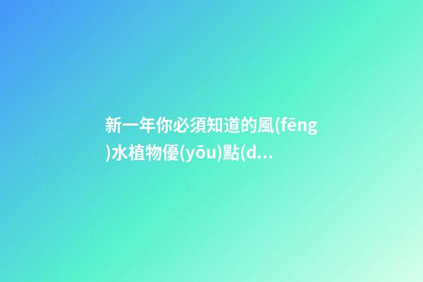 新一年你必須知道的風(fēng)水植物優(yōu)點(diǎn)