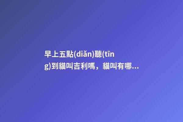早上五點(diǎn)聽(tīng)到貓叫吉利嗎，貓叫有哪些寓意