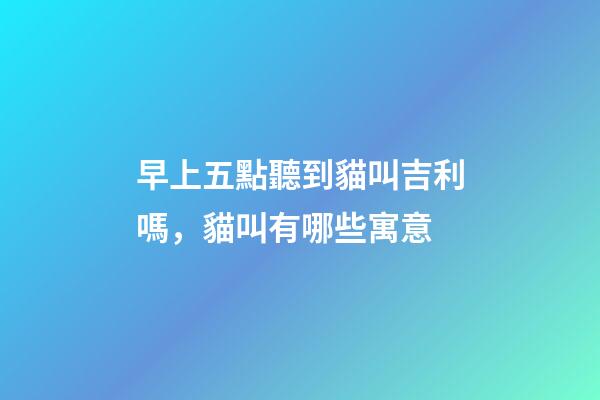 早上五點聽到貓叫吉利嗎，貓叫有哪些寓意
