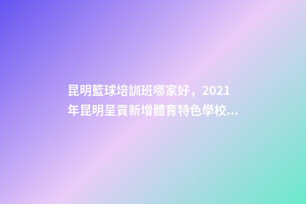 昆明籃球培訓班哪家好，2021年昆明呈貢新增體育特色學校9所-第1張-觀點-玄機派